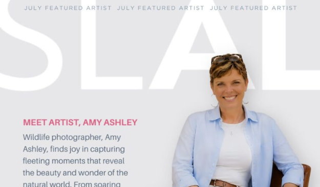 Meet Artist, Amy Ashley